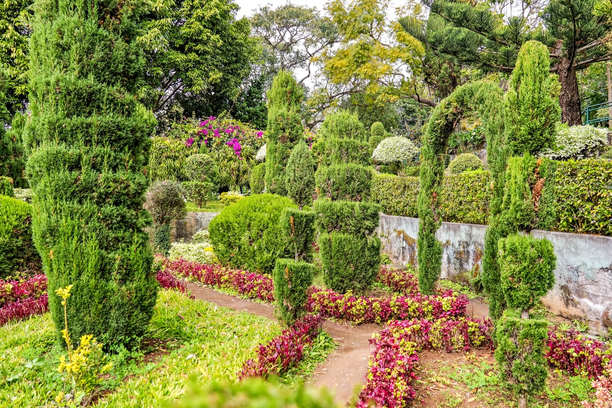 Jardim Botânico