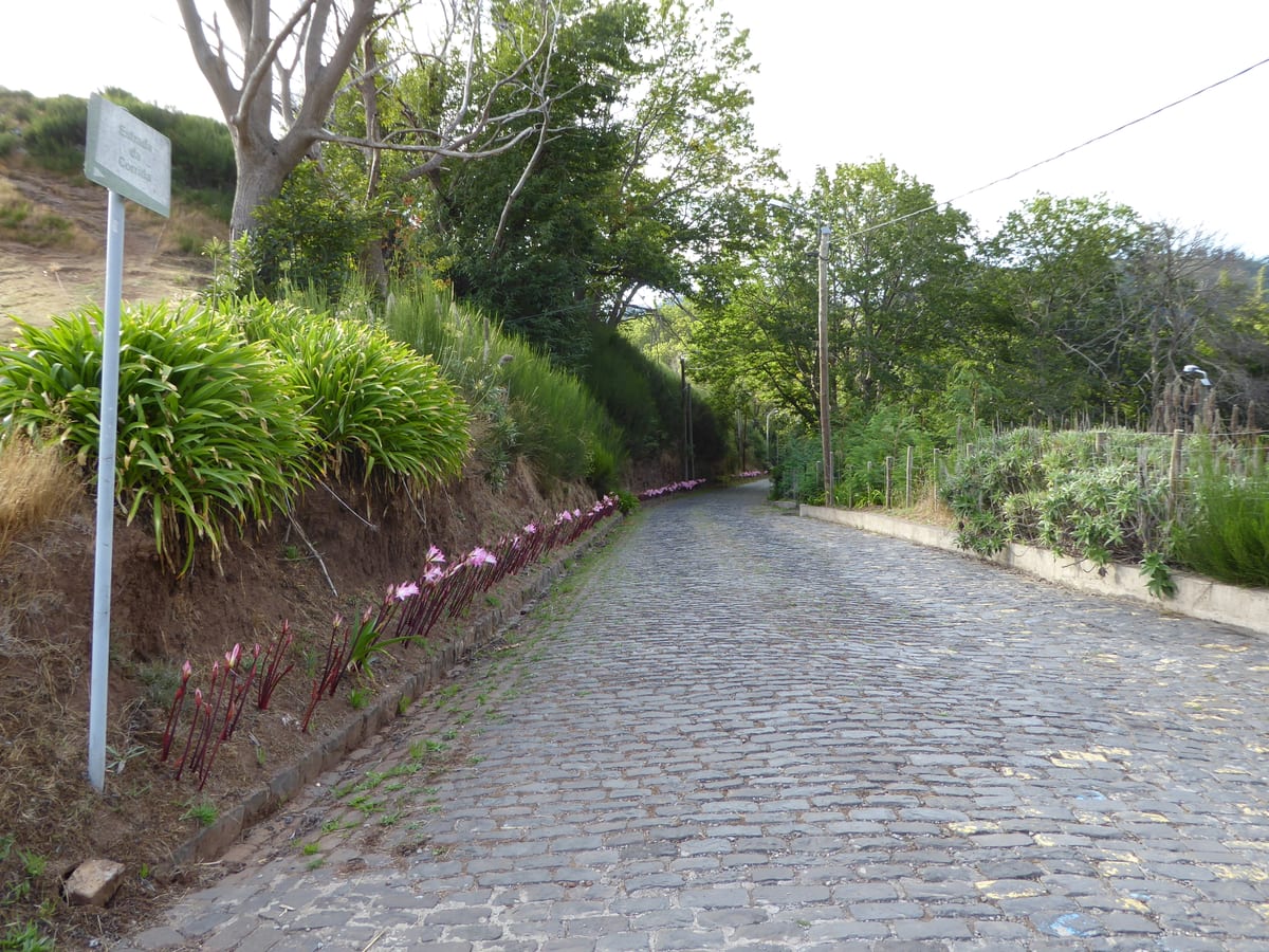 Jardim da Serra