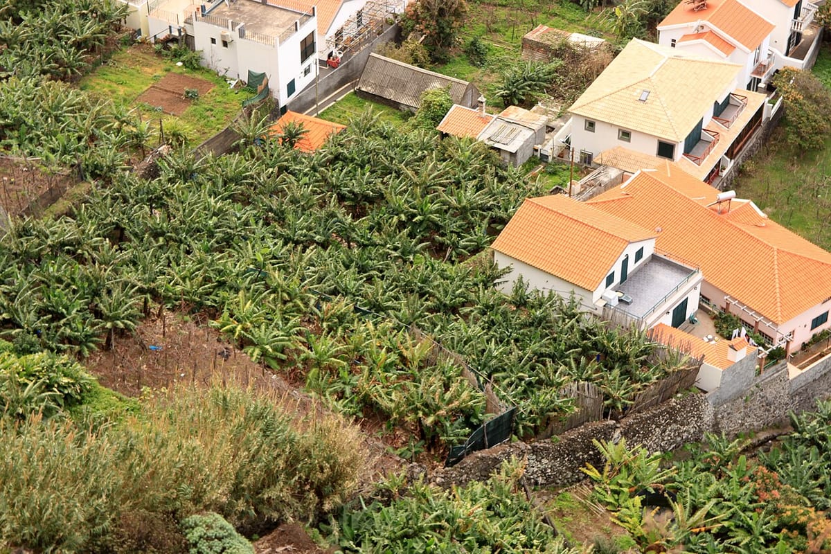 Jardim do Mar